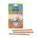 Lyra Tri Super Ferby Waldorf Colour Pencils Set of 12