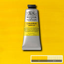 Winsor & Newton Galeria Acrylic Paint 60ml