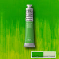 Winsor & Newton Winton Oil Paint 200ml#Colour_PHTHALO YELLOW GREEN