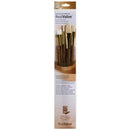 Princeton Real Value Natural & Synthetic Taklon 9148 Brushes Set Of 6