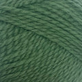 Naturally Big Natural Colours Chunky Yarn 14ply#Colour_FOREST GREEN (942)