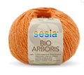 Sesia Bio Arboris Organic 8ply DK Yarn#Colour_3166