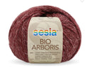 Sesia Bio Arboris Organic 8ply DK Yarn#Colour_466