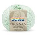 Sesia Bio 5 Organic Yarn 4ply - Clearance#Colour_MINT (1252)