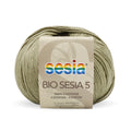 Sesia Bio 5 Organic Yarn 4ply#Colour_1499