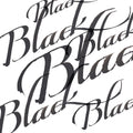 Winsor & Newton Calligraphy Ink 30ml#colour_BLACK