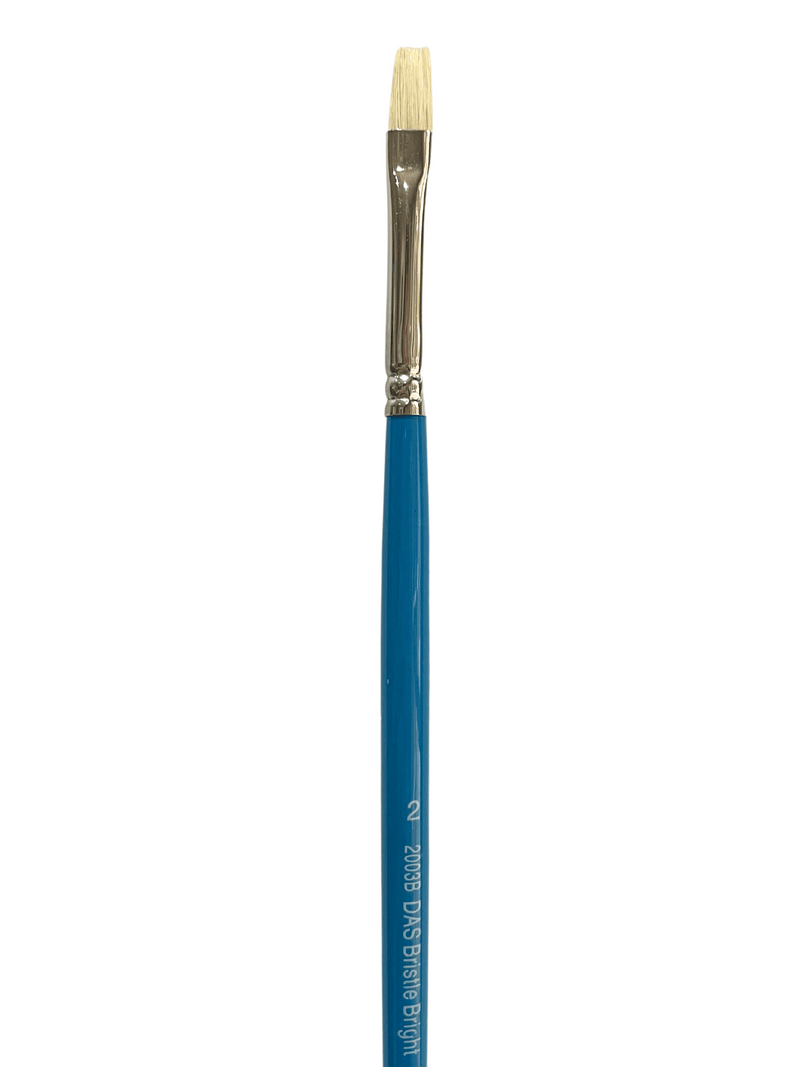 Das S2003B Bright Bristle Brushes