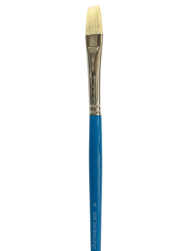 Das S2003B Bright Bristle Brushes