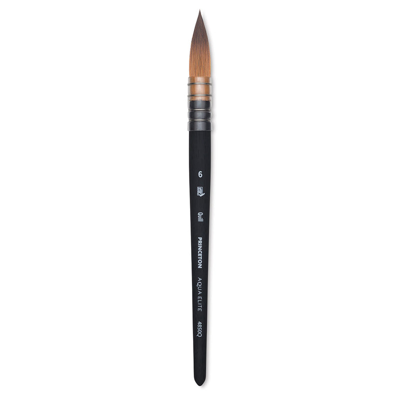 Princeton AquaElite 4850 Quill Brush 6