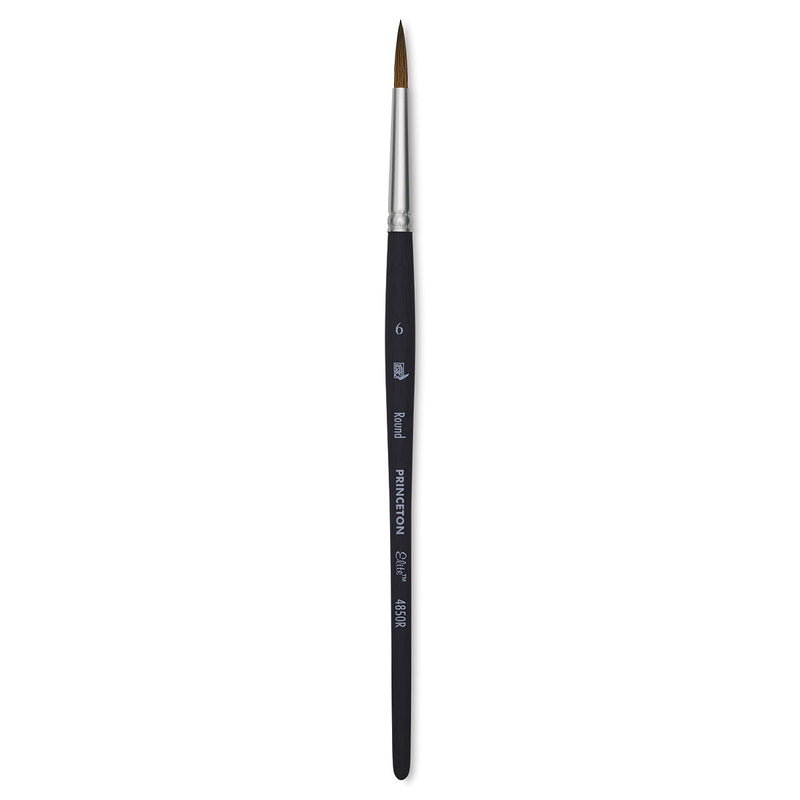 Princeton AquaElite 4850 Round Brushes