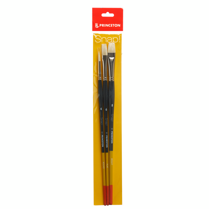 Princeton Snap! Long Handle Natural Bristle Brushes Set of 3