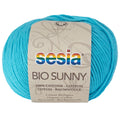 Sesia Bio Sunny Organic 8ply DK Yarn#Colour_64 - NEW