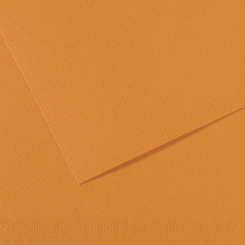 Canson Mi-Teintes 50x65cm 160gsm Paper Pack of 10 Sheets