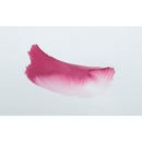 Jacques Herbin Eclats Watercolour Inks 50ml