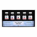 Jacques Herbin Ink 10ml - Pack Of 5 Winter Colours