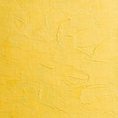 BLOCKX Artists' Oil Paints 20ml