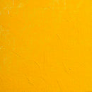 BLOCKX Artists' Oil Paints 20ml