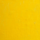 BLOCKX Artists' Oil Paints 20ml