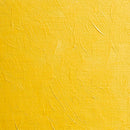 BLOCKX Artists' Oil Paints 20ml