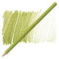 Caran D'ache Supracolour Soft Aquarelle Coloured Pencils#Colour_KHAKI GREEN