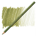 Caran D'ache Supracolour Soft Aquarelle Coloured Pencils#Colour_OLIVE GREY
