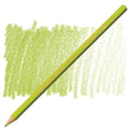 Caran D'ache Supracolour Soft Aquarelle Pencils - Intense + Soft Colours#Colour_LIGHT OLIVE