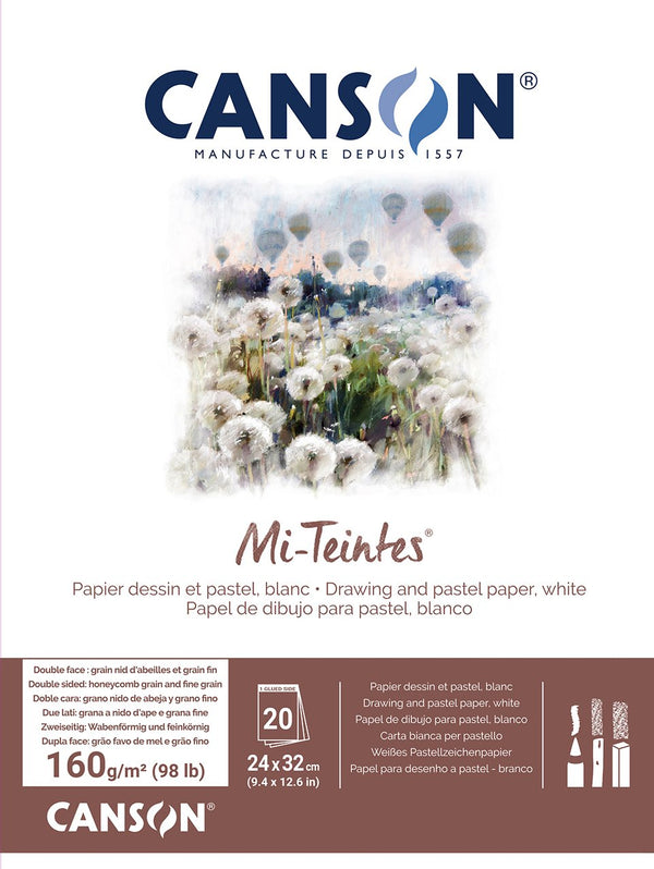 Canson Mi-teintes Pad 24x32cm 160gsm White 20 Sheets