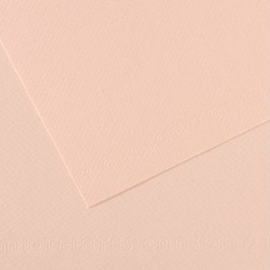 Canson MI-TEINTES Paper A4 160gsm Pack of 25