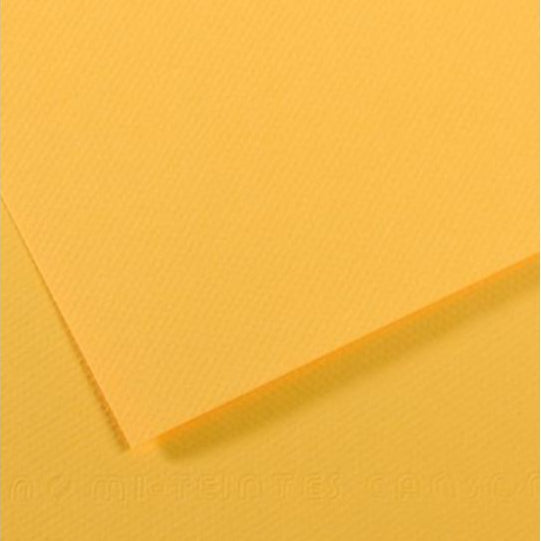 Canson MI-TEINTES Paper A4 160gsm Pack of 25