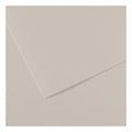 Canson MI-TEINTES Paper 50X65cm 160gsm Pack of 10#Colour_120 PEARL GREY
