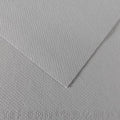 Canson MI-TEINTES Paper 50X65cm 160gsm Pack of 10#Colour_122 FLANNEL GREY