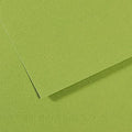 Canson MI-TEINTES Paper 50X65cm 160gsm Pack of 10#Colour_475 APPLE GREEN