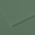 Canson MI-TEINTES Paper 50X65cm 160gsm Pack of 10#Colour_190 SAGE GREEN
