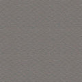 Canson MI-TEINTES Paper 50X65cm 160gsm Pack of 10#Colour_431 STEEL GREY