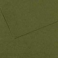 Canson MI-TEINTES Paper 50X65cm 160gsm Pack of 10#Colour_448 IVY