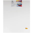 Mont Marte Signature Single Thick Canvas - Packs of 6