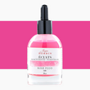 Jacques Herbin Eclats Pigmented Inks 50ml