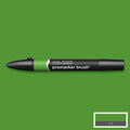 Winsor & Newton Non-Toxic Twin -Tipped Brushmarkers#Colour_FOREST GREEN