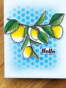 Simon Hurley create. Photopolymer 21 Piece Stamp Set Zesty