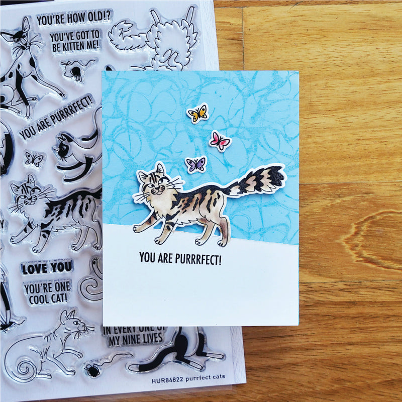 Simon Hurley create. Photopolymer 29 Piece Stamp Set Purrfect Cats