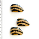 Incomparable Buttons - Brown & White L315 - Card of 3