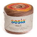 Sesia Iride Print 4ply Yarn#Colour_4970