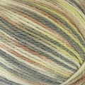 Naturally New Zealand Merino Print DK 8ply Yarn#Colour_1353