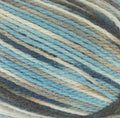 Naturally New Zealand Merino Print DK 8ply Yarn#Colour_1354
