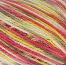 Naturally New Zealand Merino Print DK 8ply Yarn
