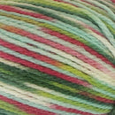 Naturally New Zealand Merino Print DK 8ply Yarn