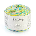 Rosarios 4 Meia Sock Yarn Print 4ply#Colour_121