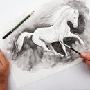 Mont Marte Watersoluble Graphite Pencil 5 Piece Set