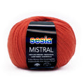 Sesia Mistral Merino Yarn 4ply#Colour_DEEP CORAL (5886)