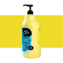 Mont Marte Signature Acrylic Colour Paints 2 Litres